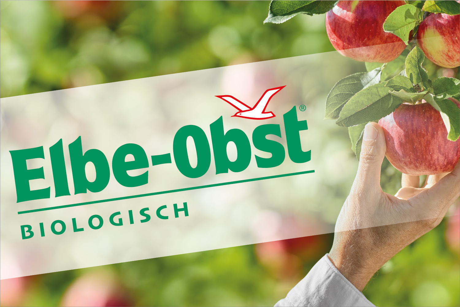 Imagemotiv Elbe-Obst Biologisch