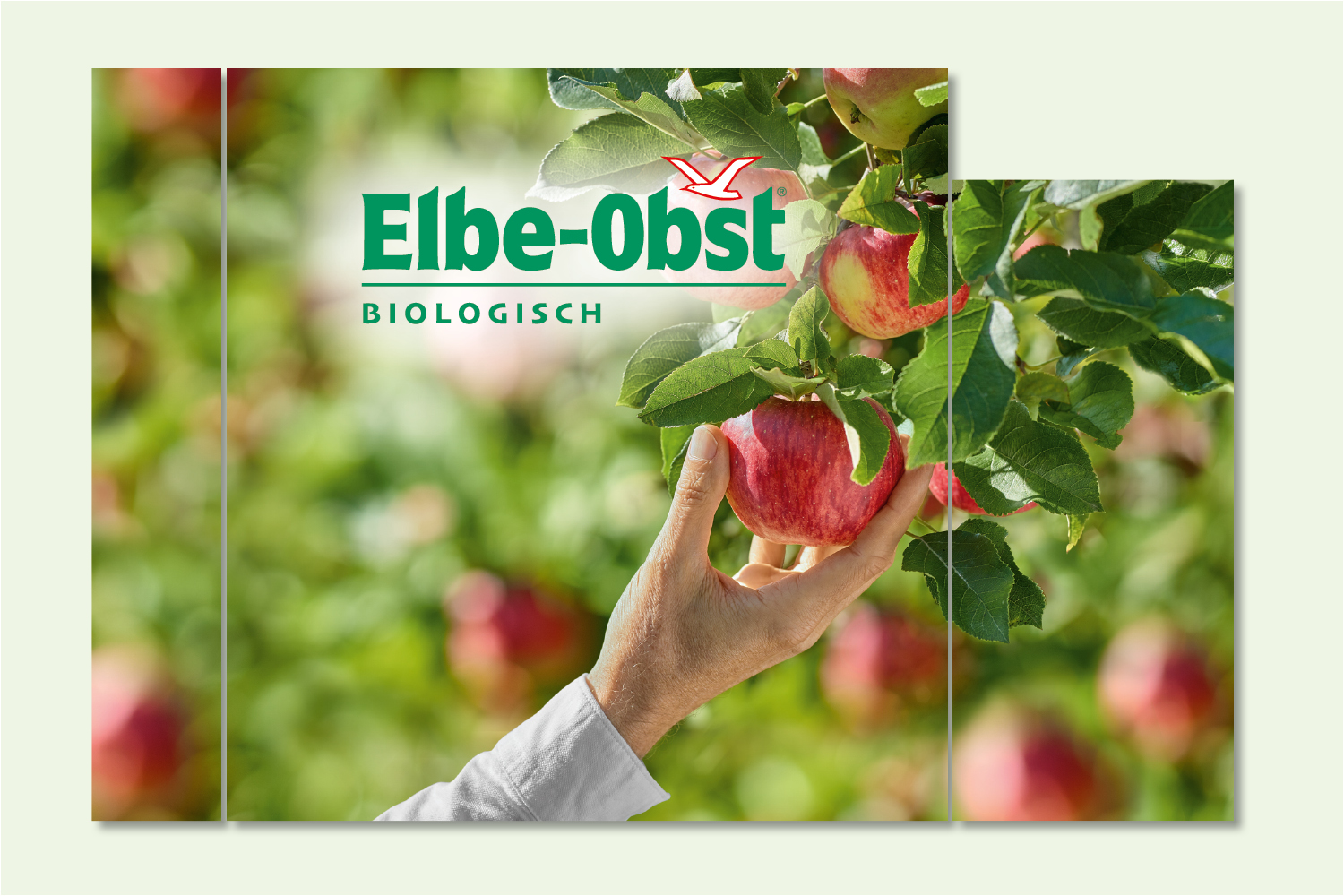 Logo | Imagemotiv | Messewand Elbe-Obst Biologisch