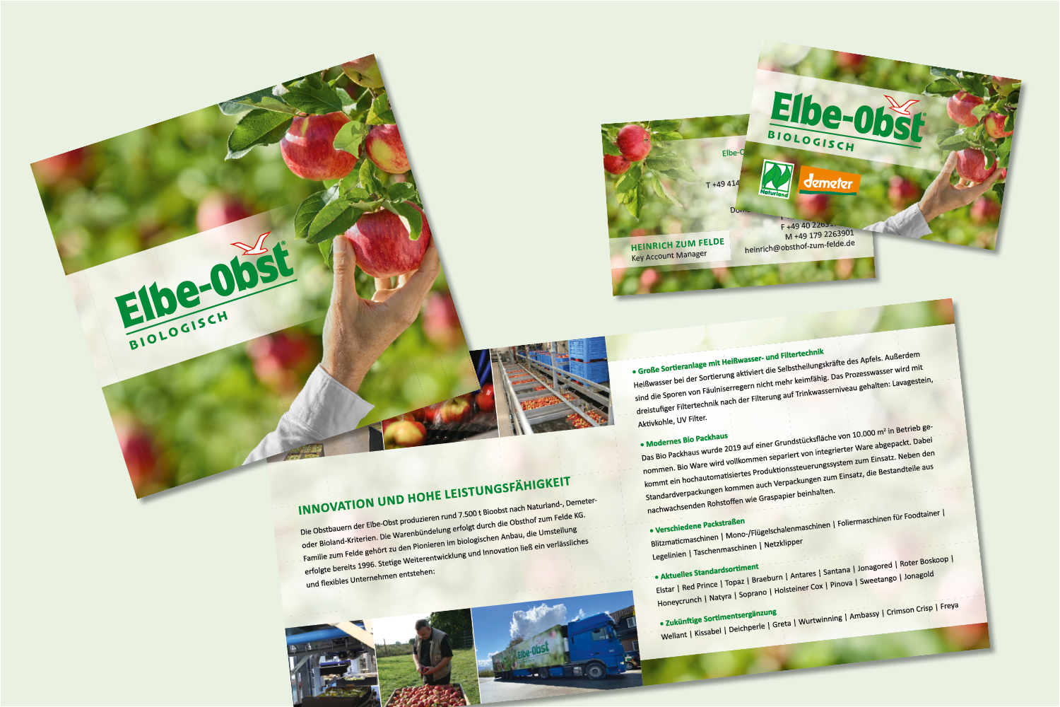 Elbe-Obst Design Grafik